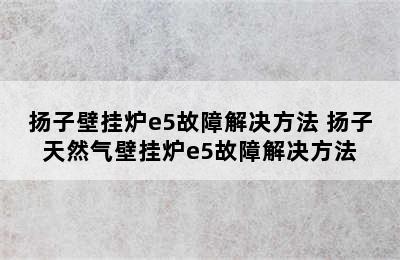 扬子壁挂炉e5故障解决方法 扬子天然气壁挂炉e5故障解决方法